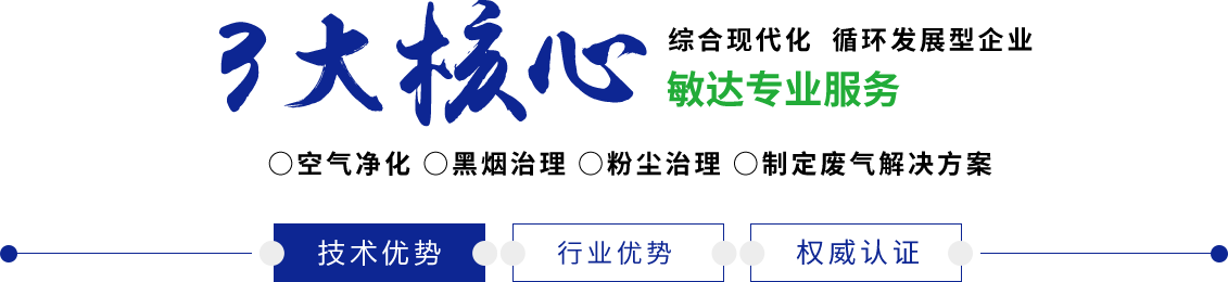 操逼逼逼逼污敏达环保科技（嘉兴）有限公司